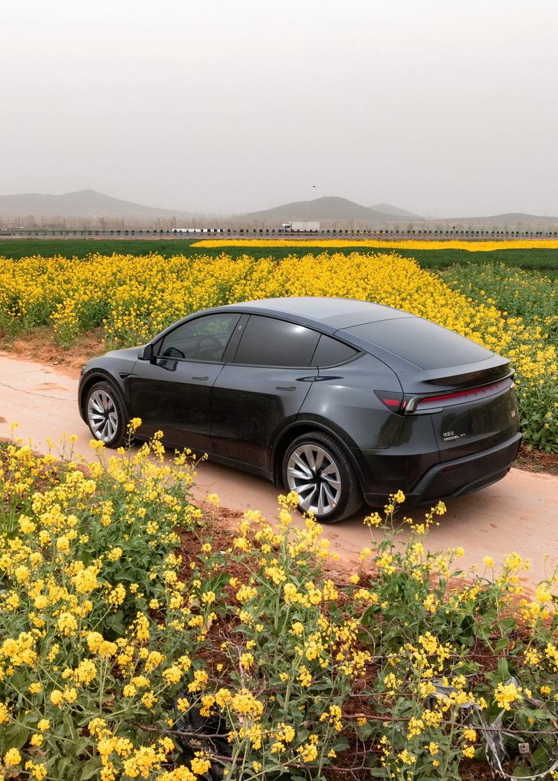 特斯拉modely论坛／model y 汽车论坛