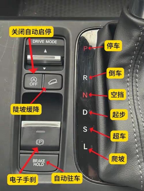 自动车档位介绍及使用／自动车档位介绍及使用视频