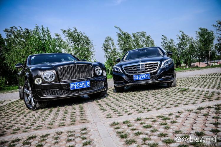 开宾利的都是什么人(迈巴赫和宾利谁档次高)