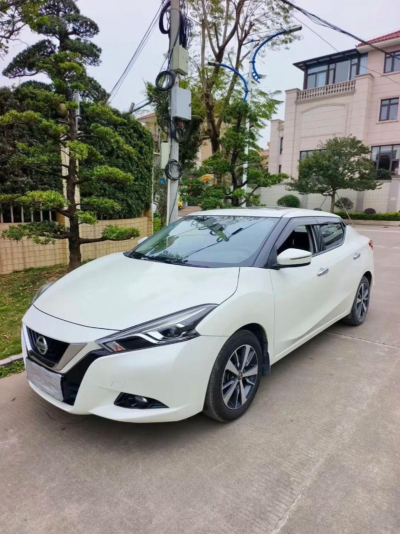 蓝鸟网站 蓝鸟中文网