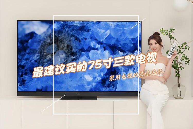 性价比最高的电视机(性价比最高的电视机品牌有哪些)