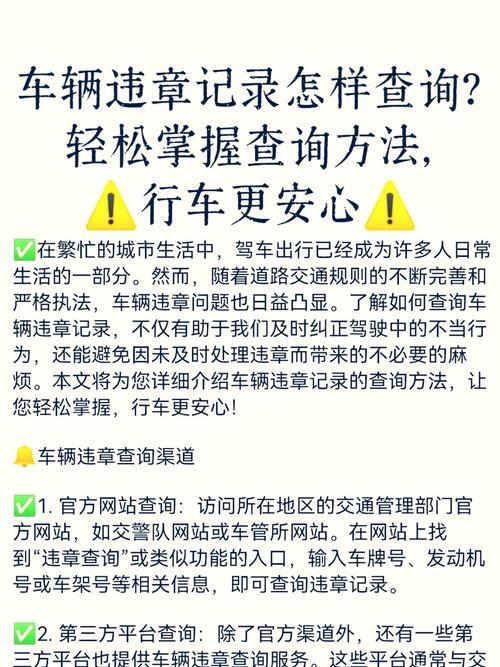 个人交通违法记录查询,个人交通违法记录查询系统