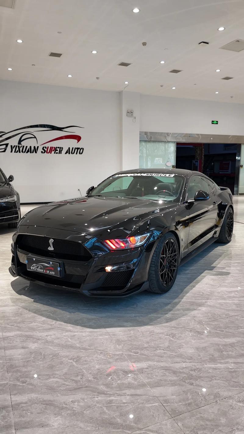 16款野马二手大概多少钱／16款野马二手大概多少钱一辆