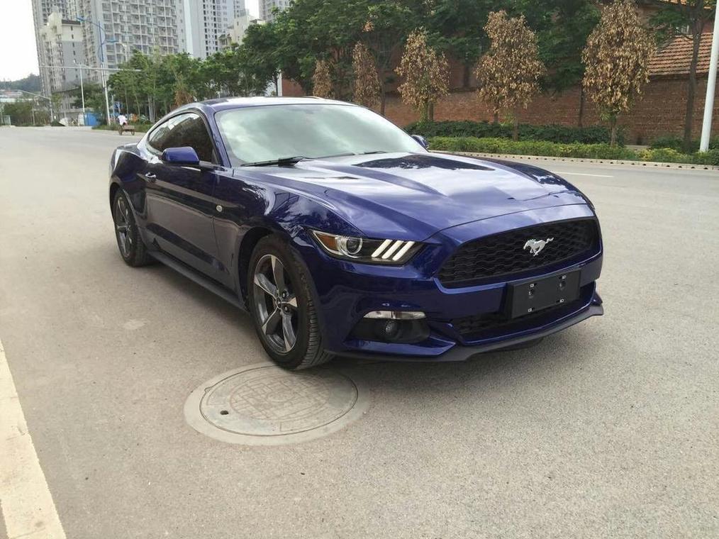 四川野马汽车股份有限公司/四川野马汽车股份有限公司电话多少