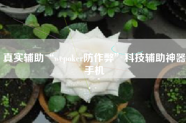 真实辅助“wepoker防作弊	”科技辅助神器手机