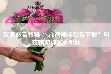 玩家必看教程“wpk透视挂软件下载”科技辅助神器手机版