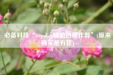 必备科技“wepoker辅助透视作弊	”(原来确实是有挂)