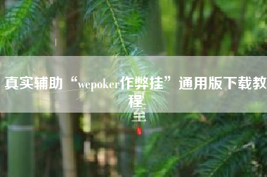 真实辅助“wepoker作弊挂”通用版下载教程