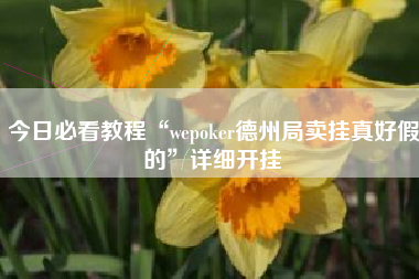 今日必看教程“wepoker德州局卖挂真好假的”详细开挂