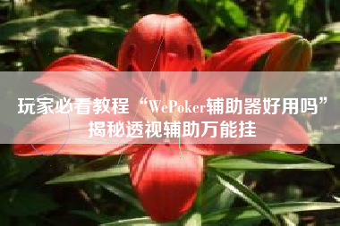 玩家必看教程“WePoker辅助器好用吗	”揭秘透视辅助万能挂