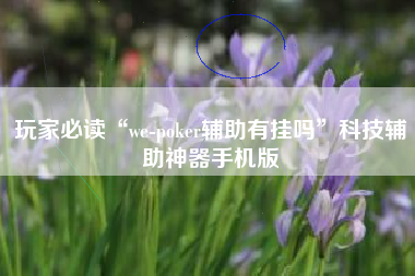 玩家必读“we-poker辅助有挂吗”科技辅助神器手机版