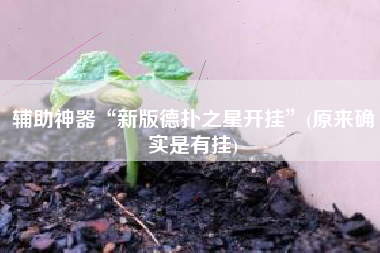 辅助神器“新版德扑之星开挂”(原来确实是有挂)