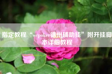 指定教程“wepoker德州辅助挂”附开挂脚本详细教程