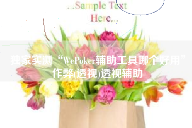 独家实测“WePoker辅助工具哪个好用”作弊(透视)透视辅助