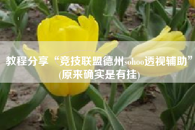 教程分享“竞技联盟德州sohoo透视辅助”(原来确实是有挂)