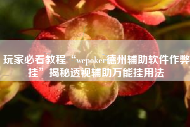 玩家必看教程“wepoker德州辅助软件作弊挂”揭秘透视辅助万能挂用法