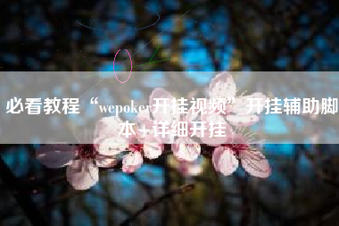 必看教程“wepoker开挂视频”开挂辅助脚本+详细开挂