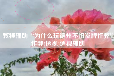 教程辅助“为什么玩德州不怕发牌作弊”作弊(透视)透视辅助