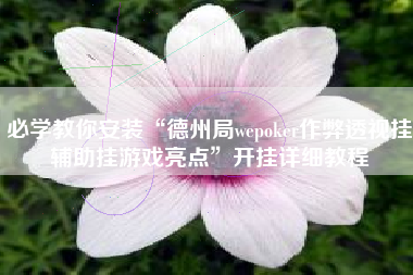 必学教你安装“德州局wepoker作弊透视挂辅助挂游戏亮点”开挂详细教程