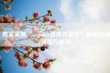 独家实测“wepoker透视百家号”揭秘透视辅助万能挂