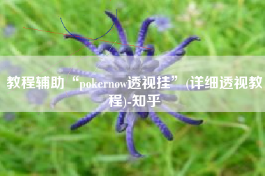 教程辅助“pokernow透视挂”(详细透视教程)-知乎