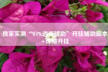 独家实测“WPK透视辅助”开挂辅助脚本+详细开挂