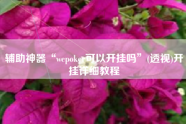 辅助神器“wepoker可以开挂吗”(透视)开挂详细教程