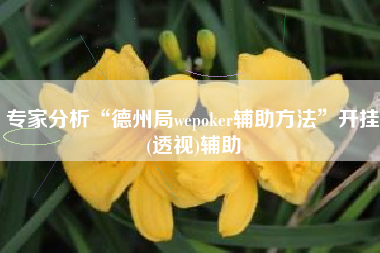 专家分析“德州局wepoker辅助方法	”开挂(透视)辅助