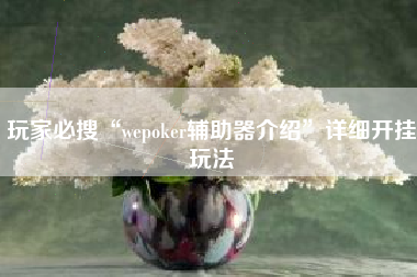 玩家必搜“wepoker辅助器介绍	”详细开挂玩法
