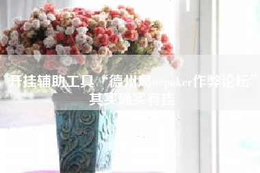 开挂辅助工具“德州局wepoker作弊论坛	”其实确实有挂