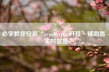 必学教你安装“wepokerplus开挂”辅助器 - 实时智能