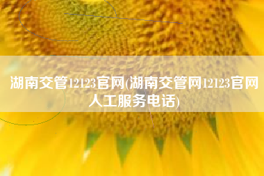 湖南交管12123官网(湖南交管网12123官网人工服务电话)