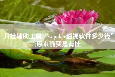 开挂辅助工具“wepoker透视软件多少钱”(原来确实是有挂)