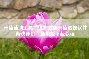 开挂辅助工具“德扑之星开挂透视软件游戏评价”通用版下载教程