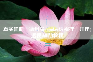 真实辅助“德州局wepoker透视挂	”开挂(透视)辅助教程