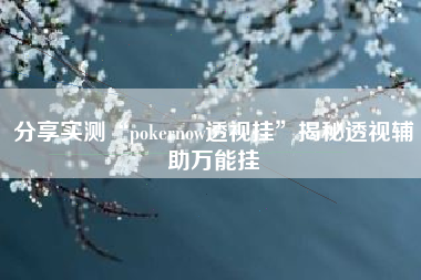 分享实测“pokernow透视挂”揭秘透视辅助万能挂