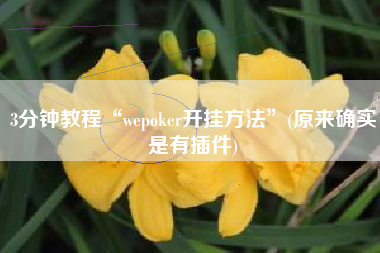 3分钟教程“wepoker开挂方法”(原来确实是有插件)
