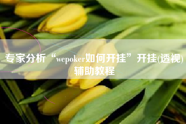 专家分析“wepoker如何开挂”开挂(透视)辅助教程