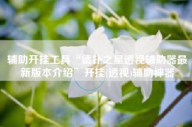 辅助开挂工具“德扑之星透视辅助器最新版本介绍”开挂(透视)辅助神器