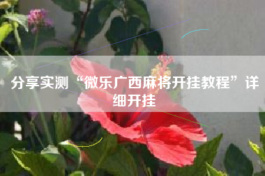 分享实测“微乐广西麻将开挂教程”详细开挂