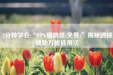 3分钟学会“WPK辅助器(免费)”揭秘透视辅助万能挂用法