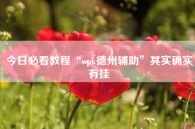 今日必看教程“wpk德州辅助	”其实确实有挂