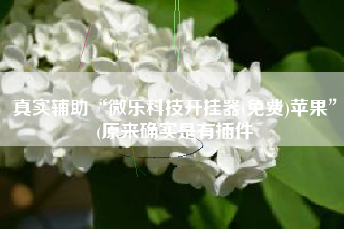 真实辅助“微乐科技开挂器(免费)苹果”(原来确实是有插件