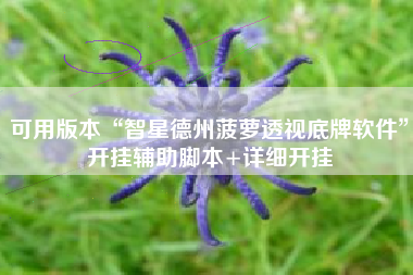 可用版本“智星德州菠萝透视底牌软件”开挂辅助脚本+详细开挂