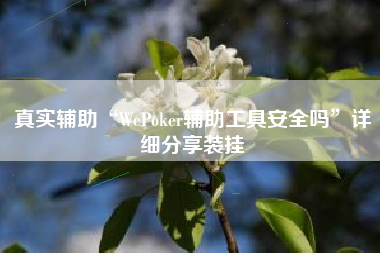 真实辅助“WePoker辅助工具安全吗”详细分享装挂