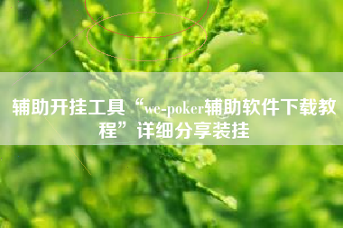 辅助开挂工具“we-poker辅助软件下载教程”详细分享装挂