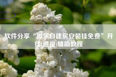 软件分享“微乐自建房安装挂免费	”开挂(透视)辅助教程