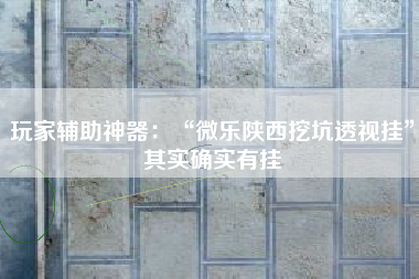 玩家辅助神器：“微乐陕西挖坑透视挂	”其实确实有挂