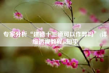 专家分析“建德十三道可以作弊吗”(详细透视教程)-知乎