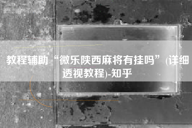 教程辅助“微乐陕西麻将有挂吗”(详细透视教程)-知乎